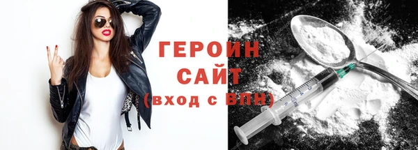 прущие грибы Мурманск