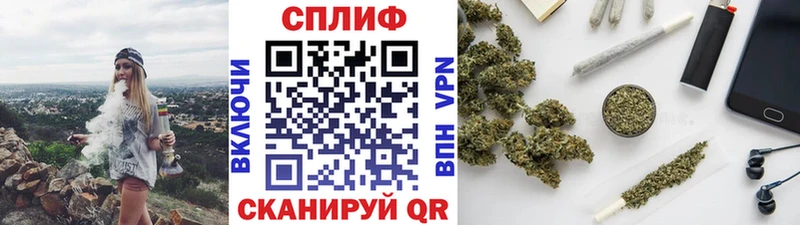 МЕГА   Макаров  Канабис планчик 